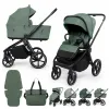 Barva Pine Green