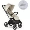 Barva 2025 Bright Taupe