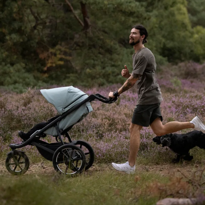 Thule Urban Glide 3 Magnetic Buckle + Bassinet