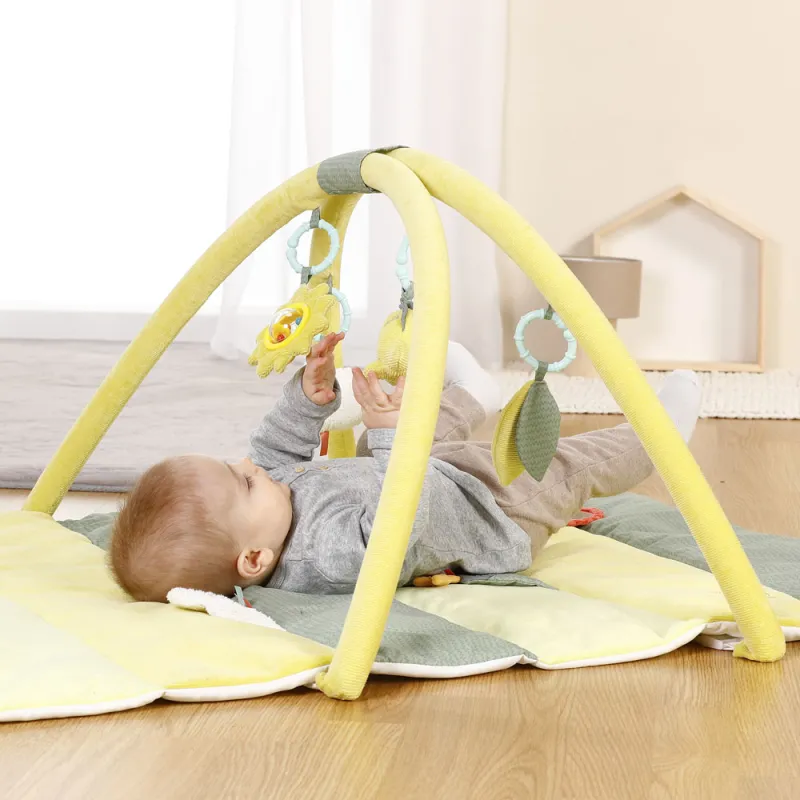 Baby Fehn 3D Akivity deka