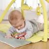 Baby Fehn 3D Akivity deka