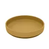 Barva Intense Ochre