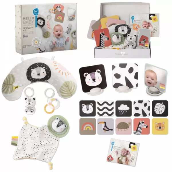 Taf Toys Sada hraček Hello Baby