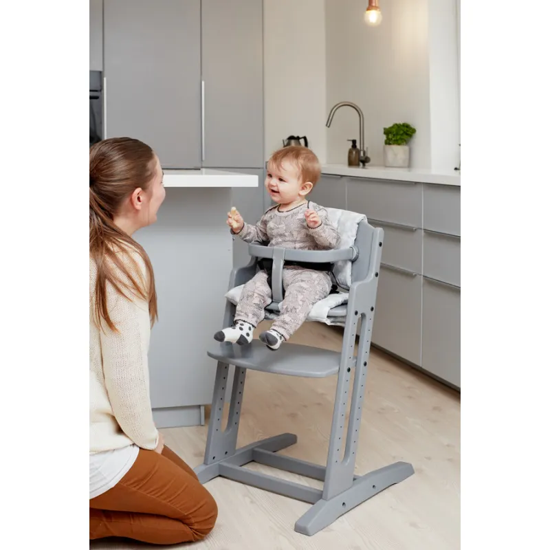 Baby Dan Dřevěná jídelní židlička BabyDan DanChair