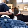 Baby Dan DogSpace Lassie tlaková branka pro pejsky, 73-80 cm