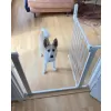 Baby Dan DogSpace Lassie tlaková branka pro pejsky, 73-80 cm