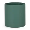 Barva Misty Green