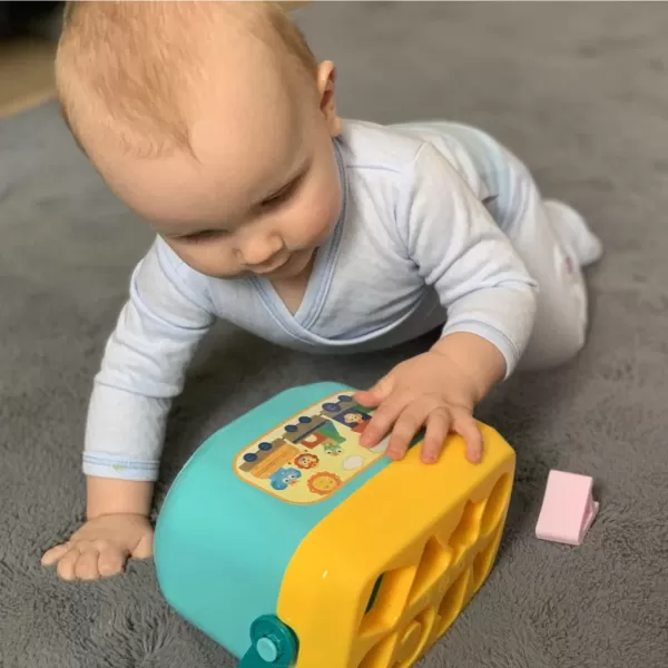 Baby Mix Vkládačka kyblík