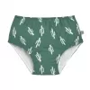Barva cactus green