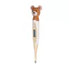Barva Bear