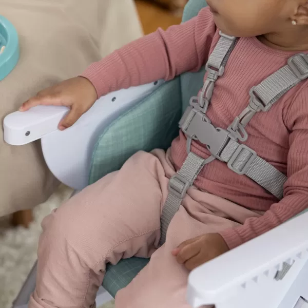 INGENUITY Židle jídelní skládací Sun Valley™ 6m+ do 15 kg