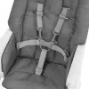 INGENUITY Židle jídelní skládací Sun Valley™ 6m+ do 15 kg