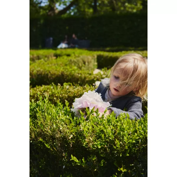 EASYWALKER Kočárek kombinovaný Harvey⁵ 2v1 LITE AIR + CYBEX Aton B2 i-Size + základna