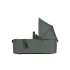 Barva Forest green