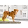 CURLI Postroj pro psy s magnetem Belka Comfort Black XS, 15-20 kg