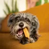 EXPLORER DOG Himalájský pamlsek s kokosem S