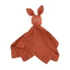 Barva Cinnamon Spice