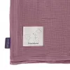 Barva plum
