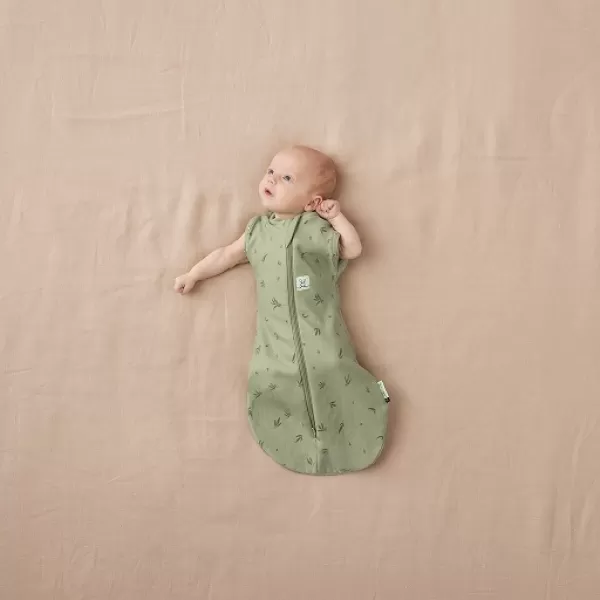 ERGOPOUCH Zavinovačka a pytel na spaní 2v1 Cocoon Willow 6-12 m, 8-10 kg, 0,2 tog