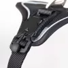 CURLI Postroj pro psy s magnetem Belka Comfort Black XS, 15-20 kg
