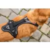 CURLI Postroj pro psy s magnetem Belka Comfort Black XS, 15-20 kg