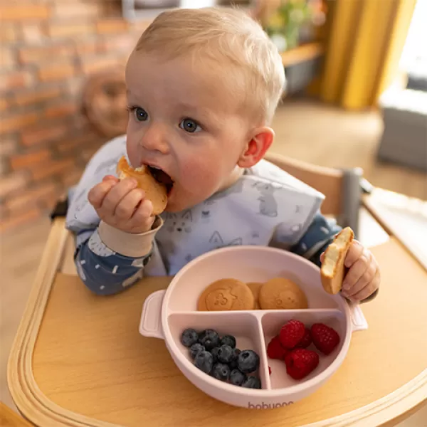 BABYONO Talíř silikonový s přísavkou a víčkem růžový 6m+