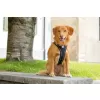 CURLI Postroj pro psy s magnetem Belka Comfort Black XS, 15-20 kg