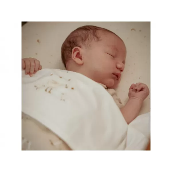 Little Dutch Deka 70x100 cm žerzej / fleece Newborn Naturals