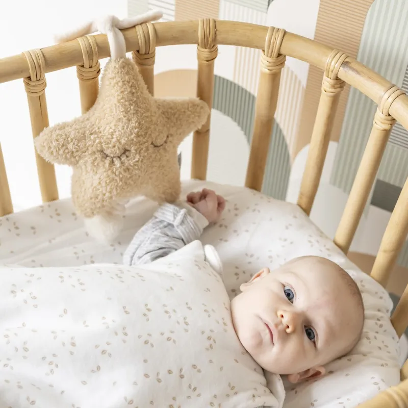 NATTOU Hračka hudební Teddy hvězdička 25 cm, 0m+