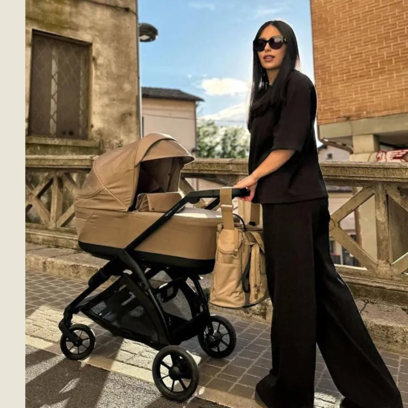 Inglesina přebalovací taška Dual Bag