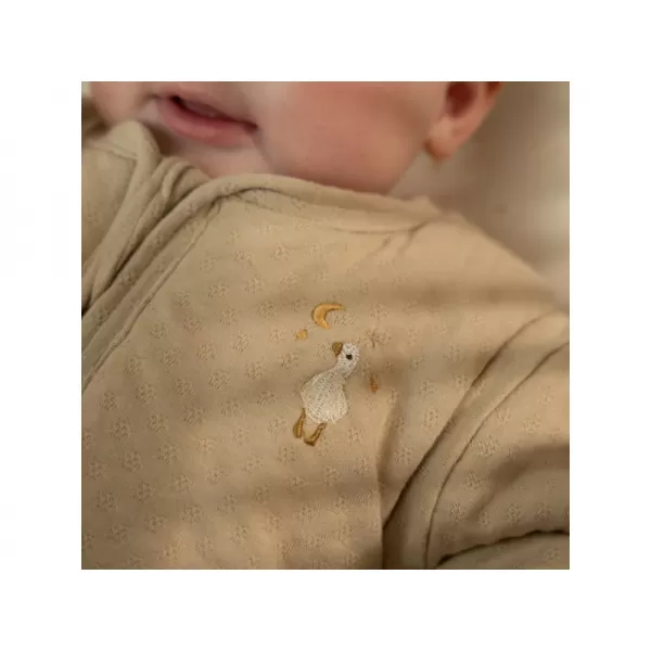 Little Dutch Spací pytel s oddělitelnými rukávy 70 cm Newborn Naturals