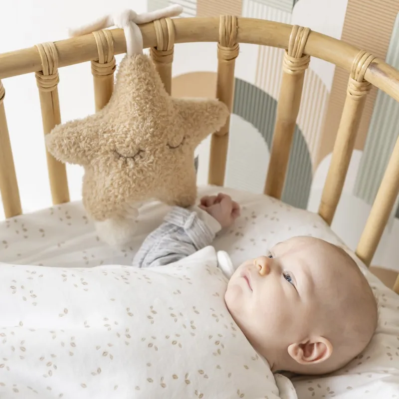 NATTOU Hračka hudební Teddy hvězdička 25 cm, 0m+