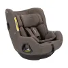Barva chestnut