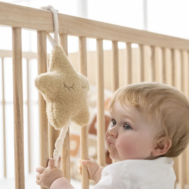 NATTOU Hračka hudební Teddy hvězdička 25 cm, 0m+