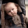Easygrow Podložka do kočárku jehněčí kůže