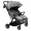 Barva Grey