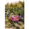 PLAY AND GO Noomad outdoor Hrací deka a Vak na hračky Outdoor Pic nic