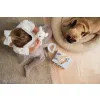 JABADABADO Set pro Veterináře