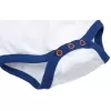 Gmini Body DR