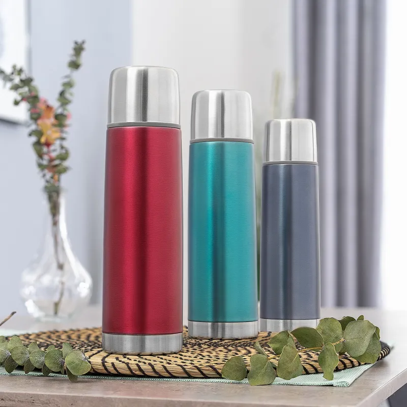 Reer Termoska Colour 500 ml