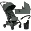 Barva Forest green