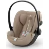 Barva 2025 Almond Beige (Plus)