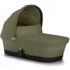 Barva 2025 Moss Green