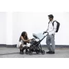 Thule Shine