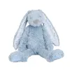 Barva Blue